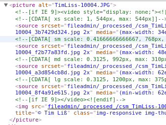 HTML Quellcode des picture Tags Bilddateien, die mehrfach gerendert und optimiert wurden.
